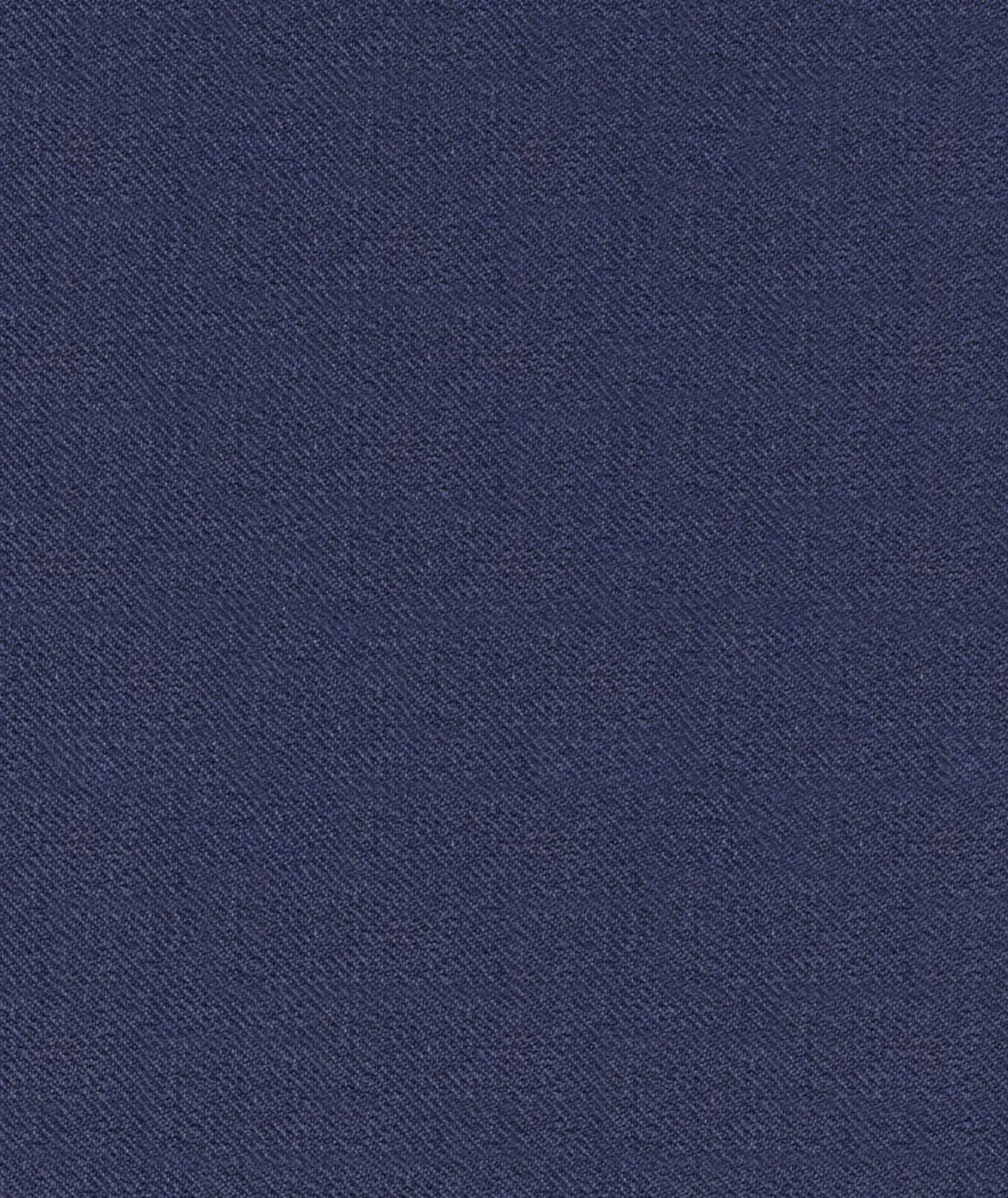 Gilet Blu Cobalto Biella - Image 4