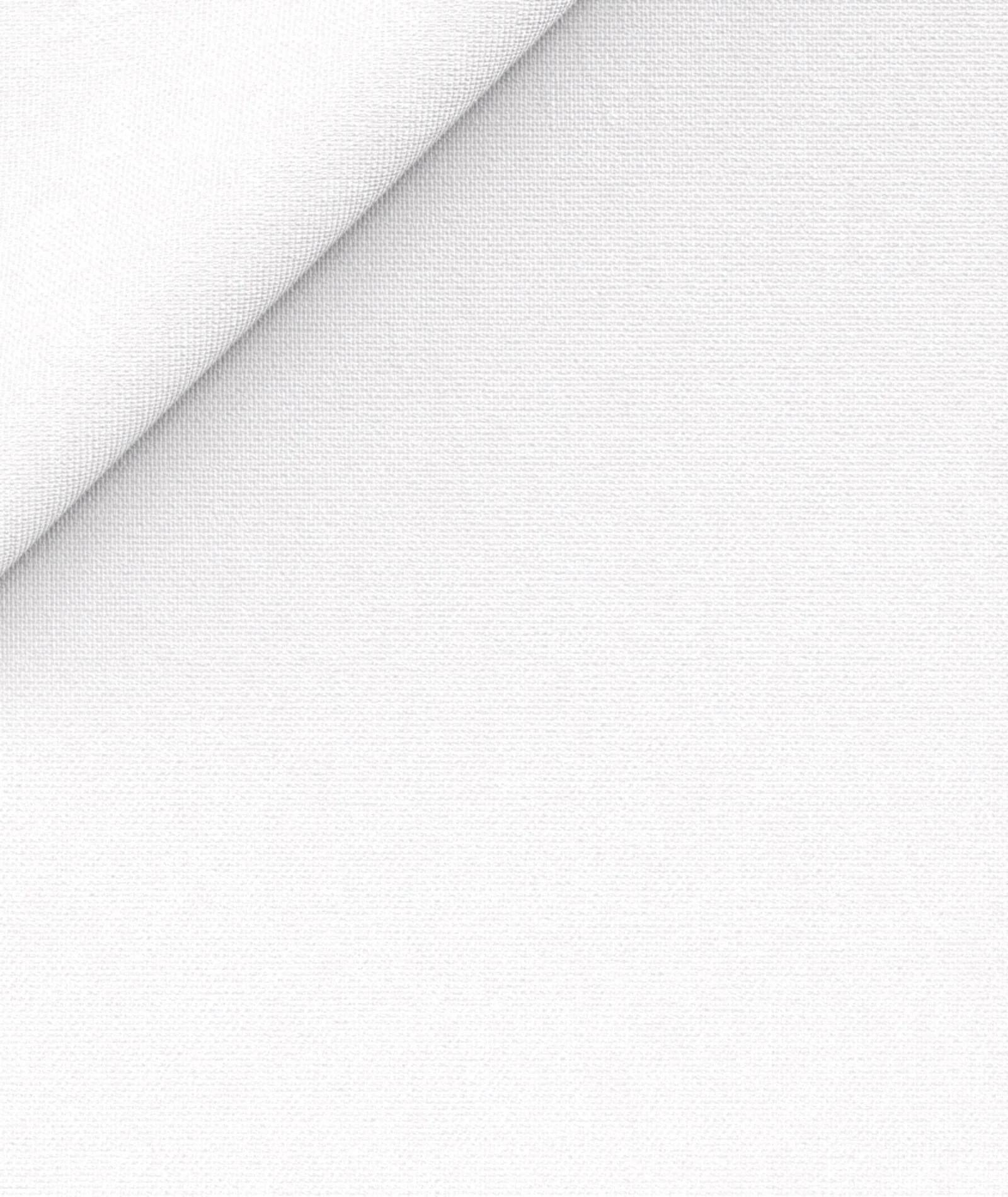 natural stretch oxford bianca