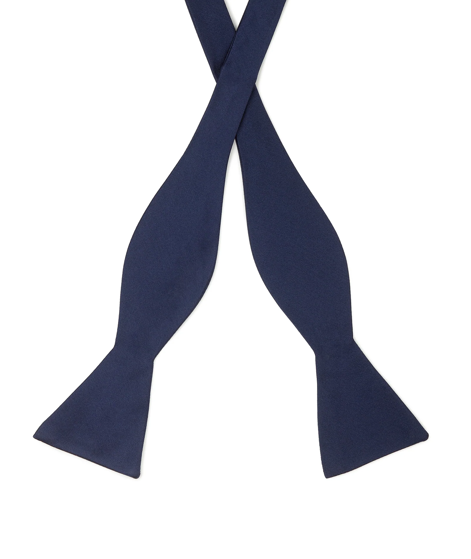 Papillon Raso Blu - Image 3